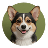 Canine Behaviour