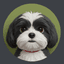 Pawfect Fwiend